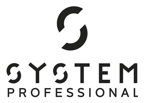 System-Professional Logo